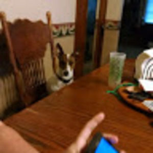 Meet your Posher, Bill